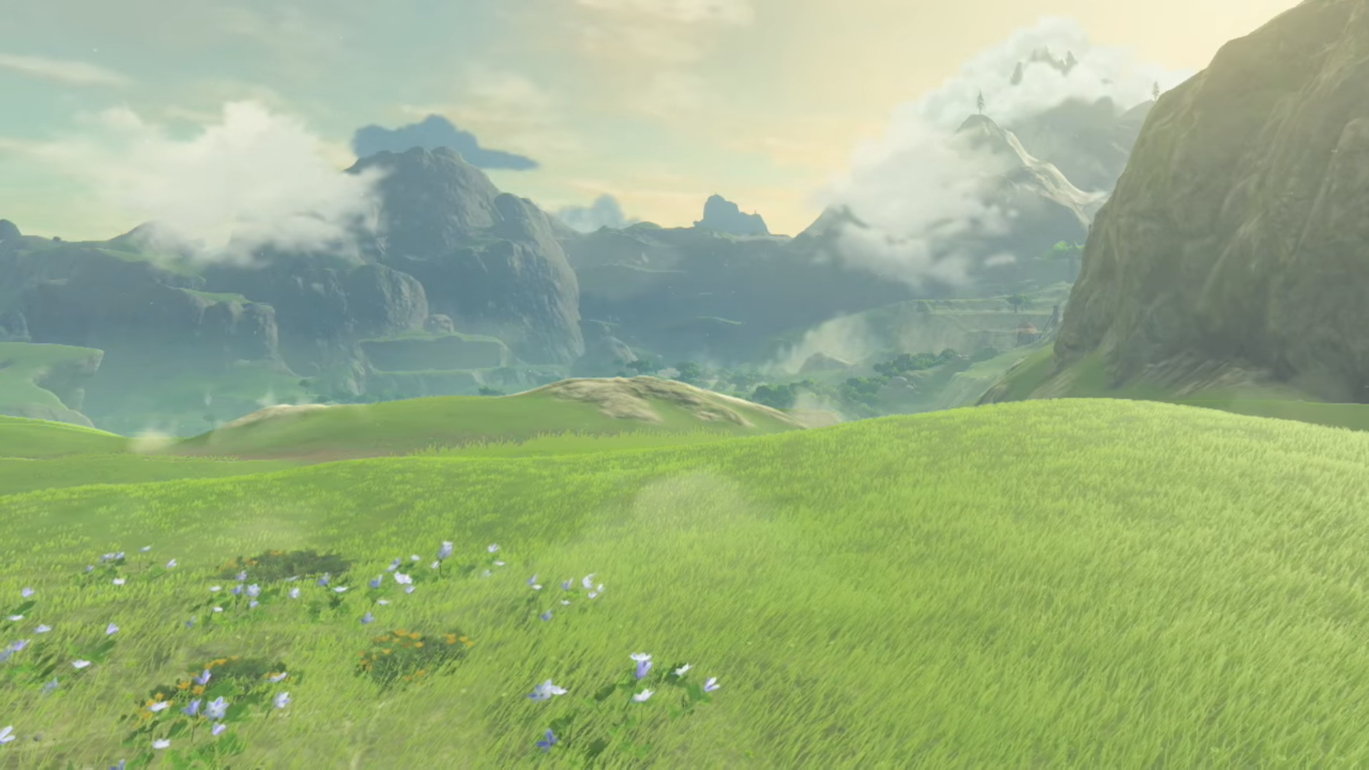 Breath Of The Wild Background Hd