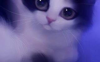 Cat Cute Girly Wallpapers For Iphone