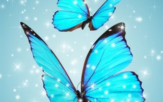 Cute Girly Wallpaper For Iphone Butterfly