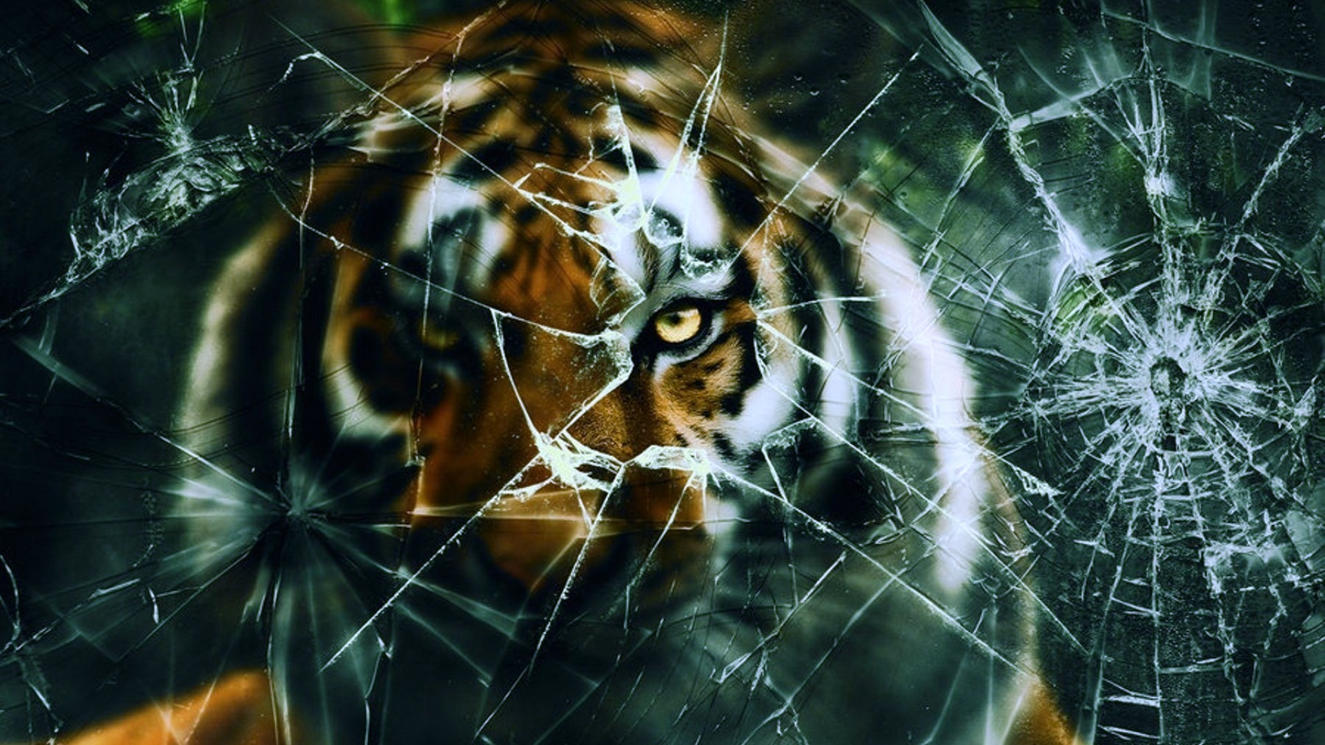Tiger, Broken, Screen, Wallpaper