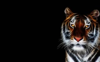 3D Tiger Wallpaper Desktop