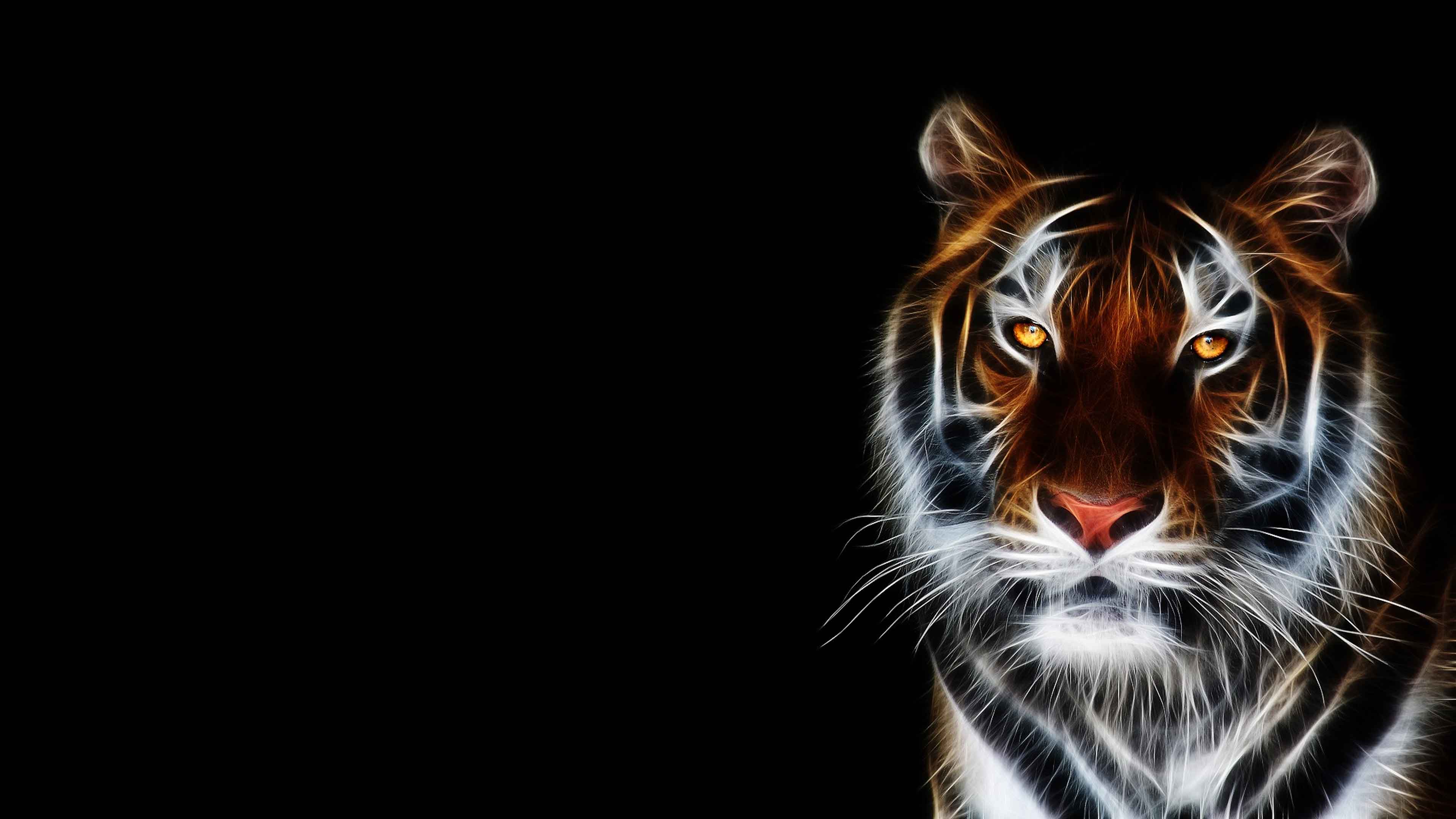 3D Tiger Wallpaper Desktop