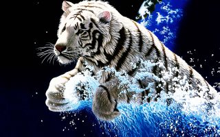Animated 3D Tigers Wallpaper HD