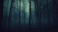 Dark Forest Wallpaper - Live Wallpaper HD