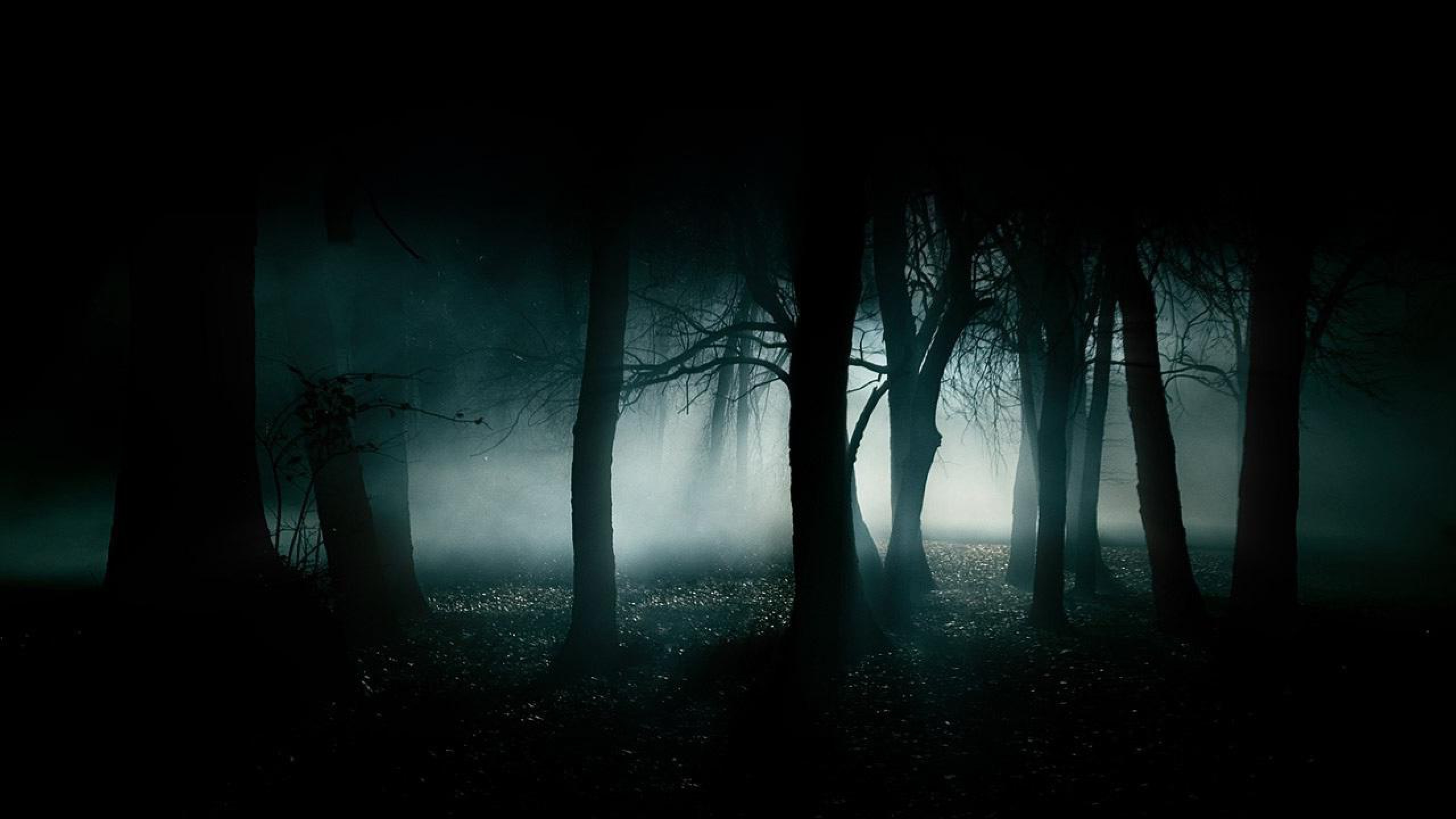 Dark Jungle Wallpapers - Live Wallpaper HD