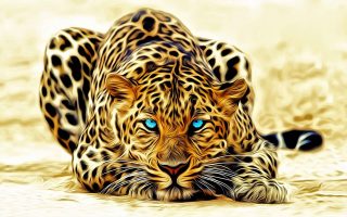 HD 3D Tiger Wallpaper