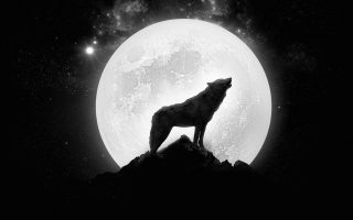 Full Moon Wolf Wallpaper