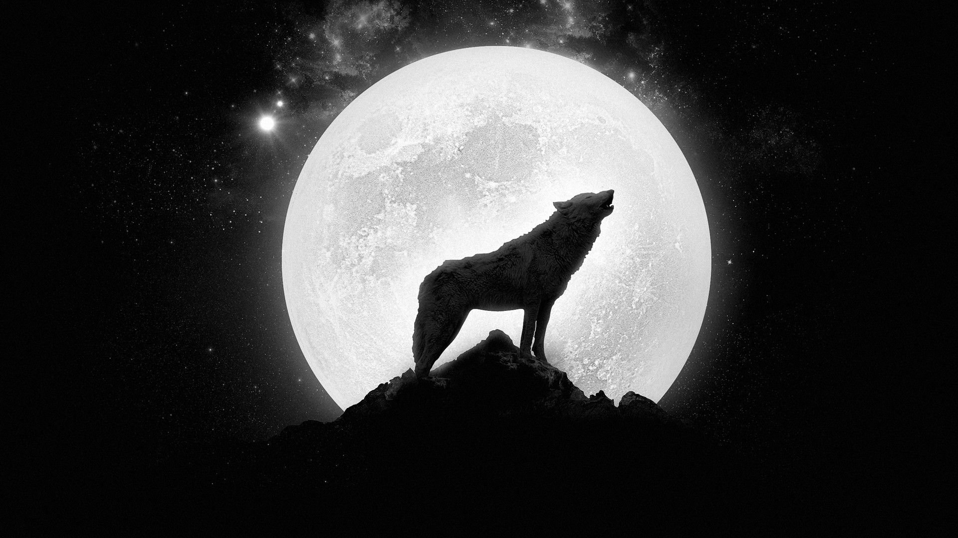 Full Moon Wolf Wallpaper