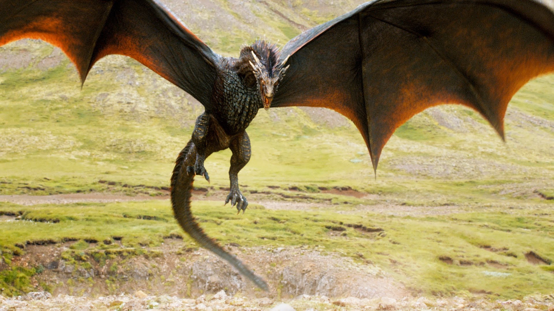 Game of Thrones Dragon Wallpaper