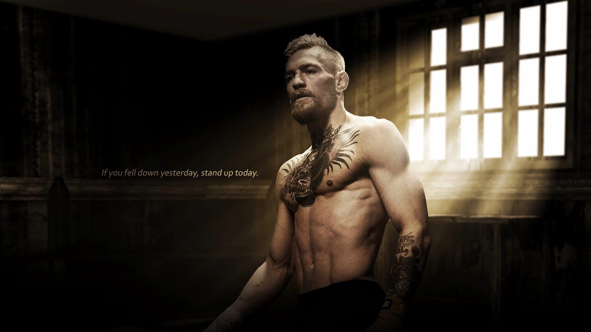 20+ Most Excellent Conor Mcgregor Quotes Wallpaper Free Download | Lumegram