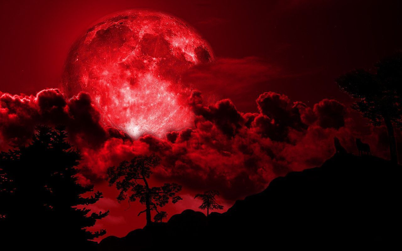 Red Full Moon Wallpaper