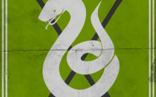 Slytherin Quidditch Iphone Wallpaper