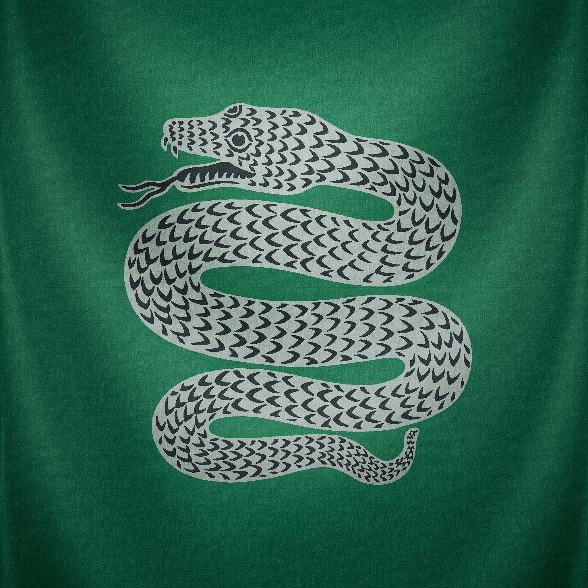 Slytherin Snake Wallpaper