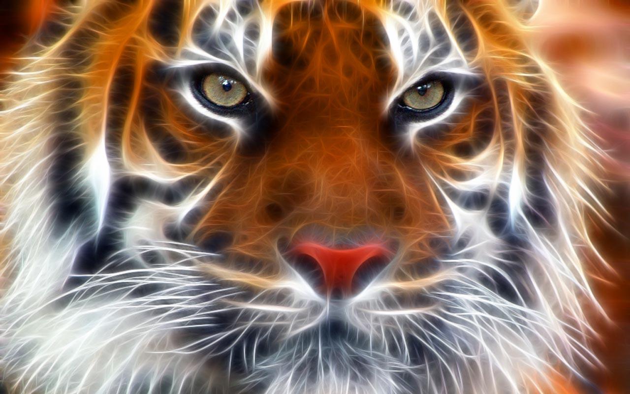 3D Tiger Wallpaper HD 1280x800