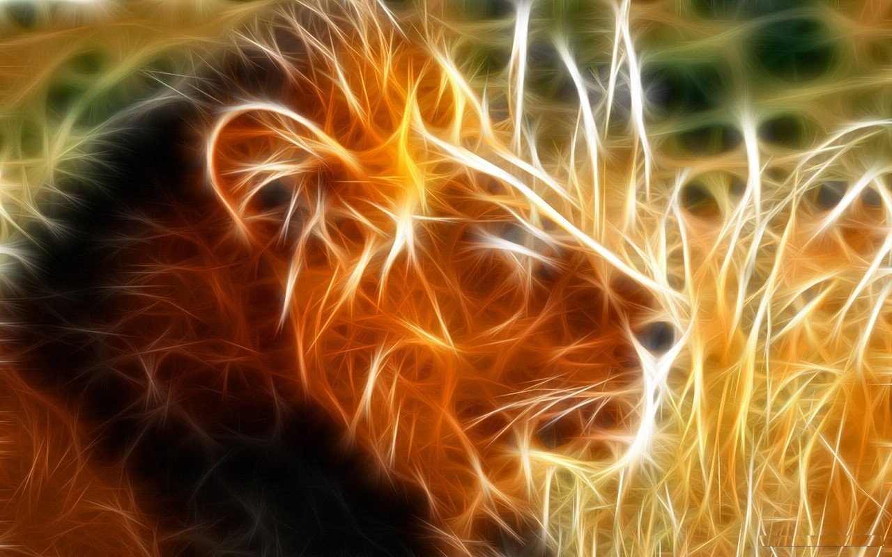 Best Lion Pictures 3D 1280x800