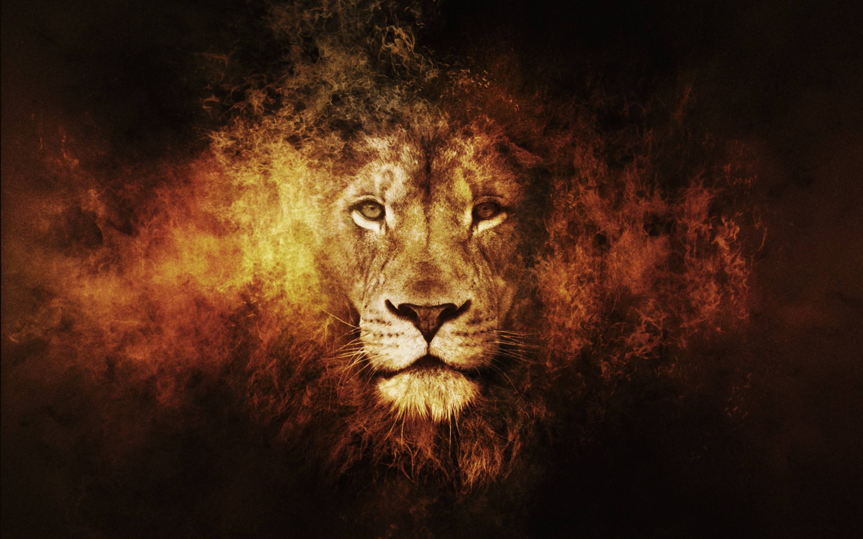 Best Lion Pictures Wallpaper 2880x1800