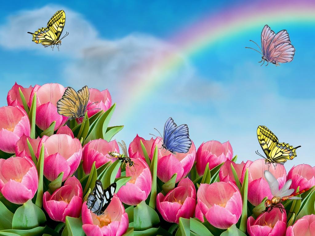 Animated Flower Wallpaper 1024x768