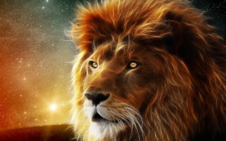 Lion 3d Wallpaper