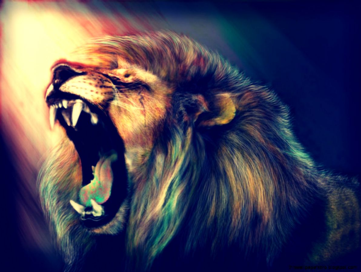 Lion Animal Wallpaper 1192x898