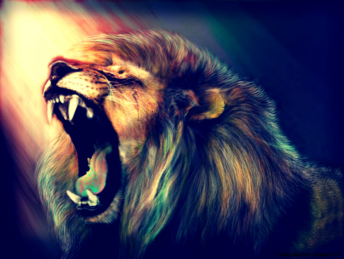 Lion Animal Wallpaper