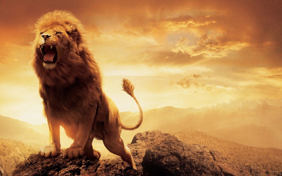 Lion Animation Wallpaper HD 960x600
