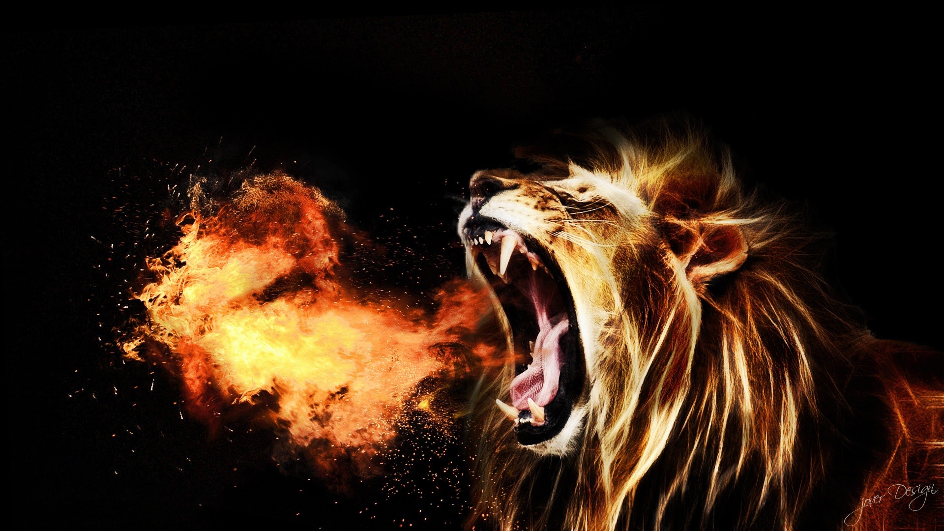 Lion King Images