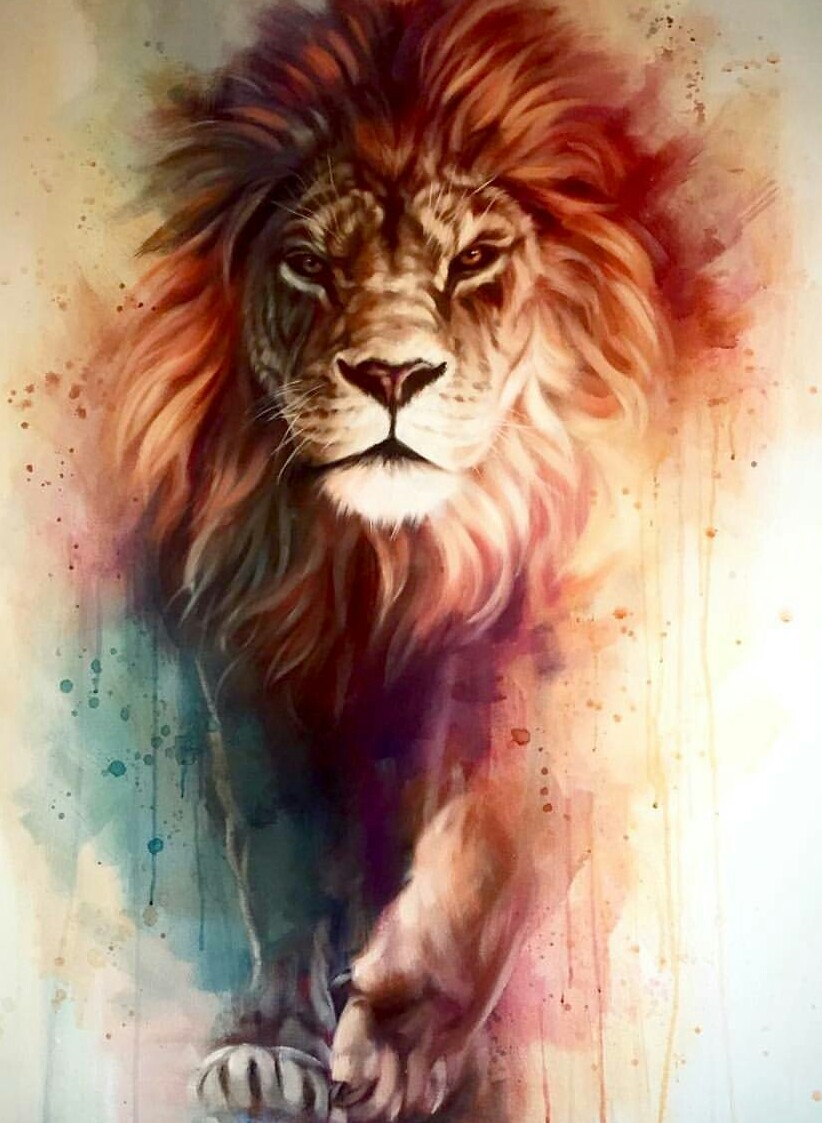 Lion iPhone Wallpaper HD 822x1123