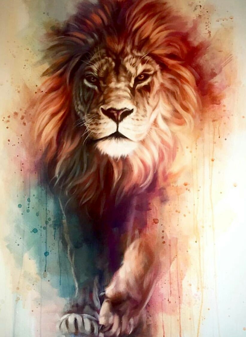 Lion iPhone Wallpaper HD | 2020 Live Wallpaper HD