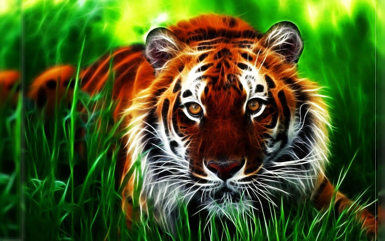 Tiger 3D Wallpaper 1280x800