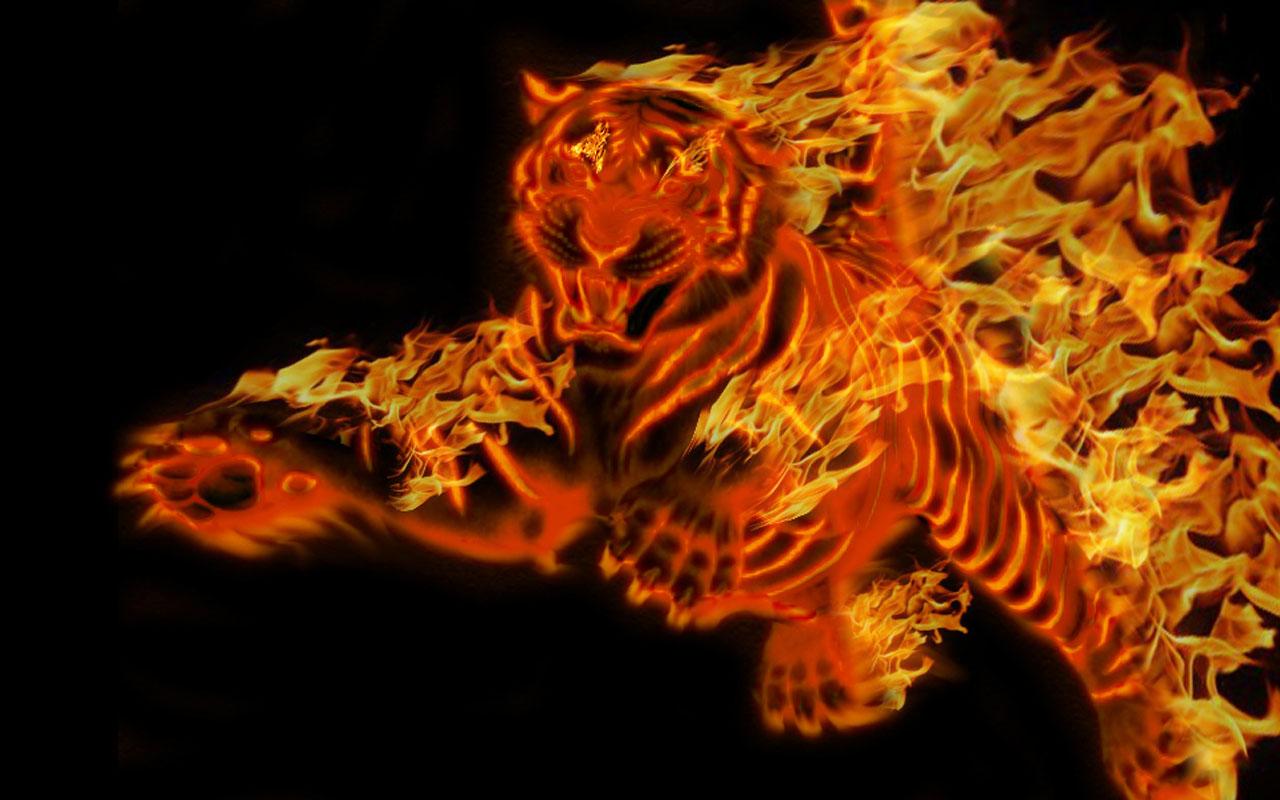 Tiger Wallpaper HD 3D 1280x800