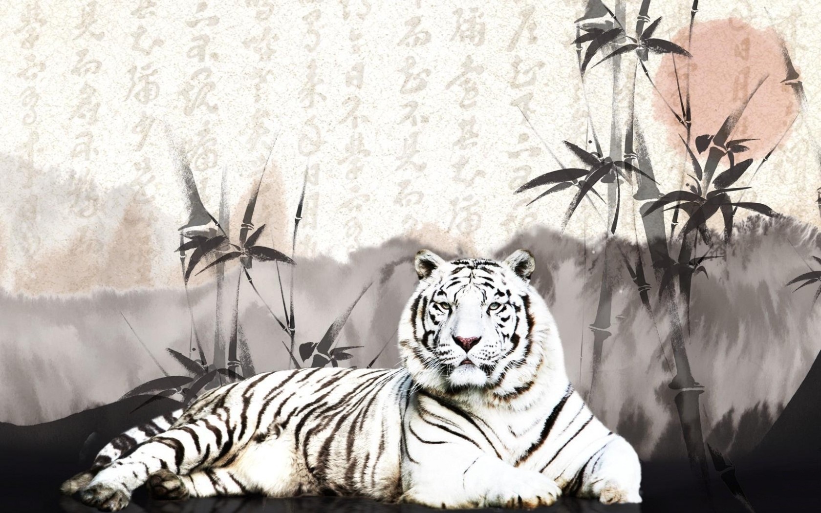 White Tiger Wallpaper HD