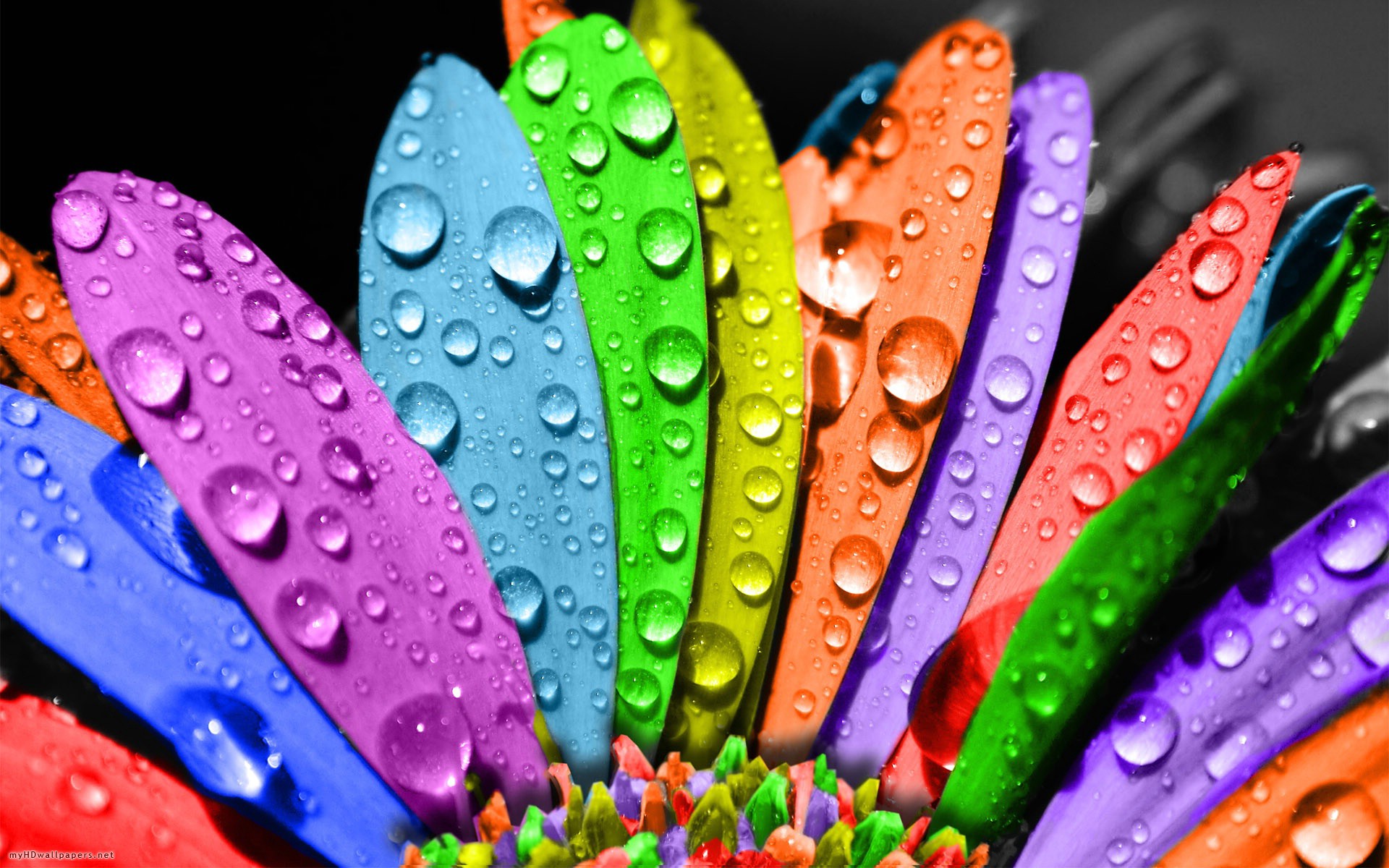 3D Colorful HD Wallpaper