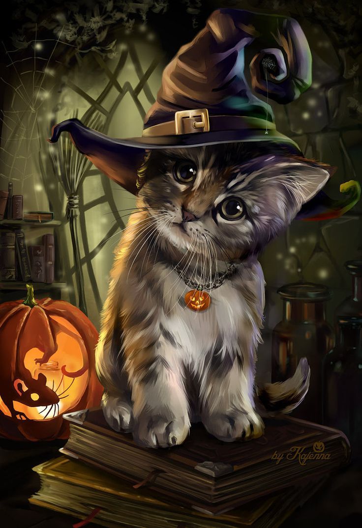 3D Cute Halloween Cat Wallpaper 736x1075