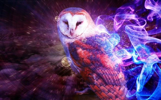 3D Owl Wallpaper 640x400