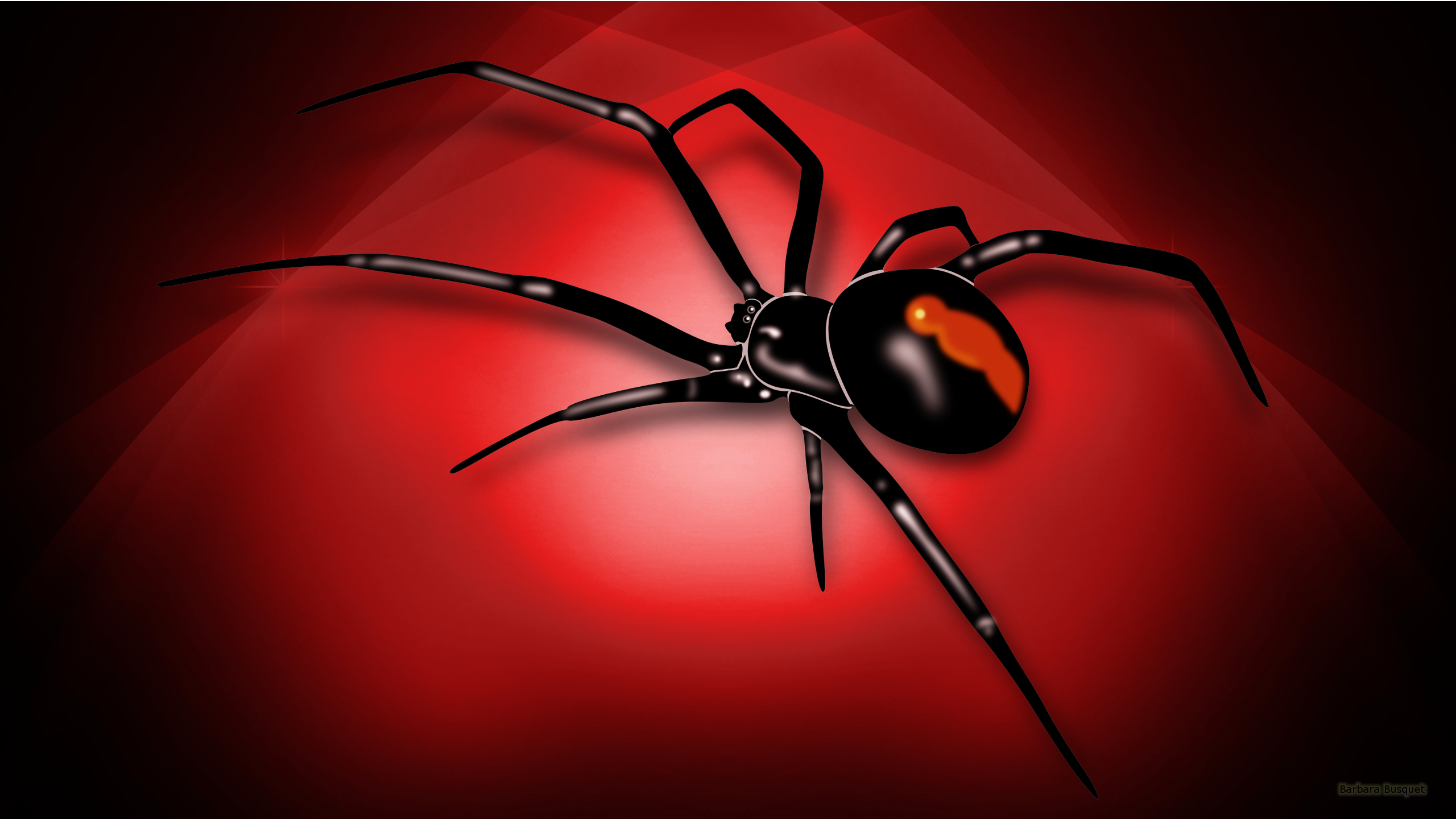 3D Spider Wallpaper 2560x1440