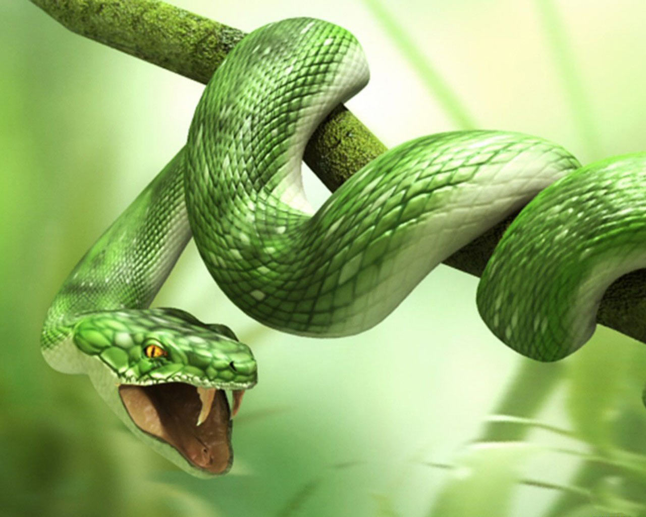 3D Wallpaper Green Snake 1280x1024