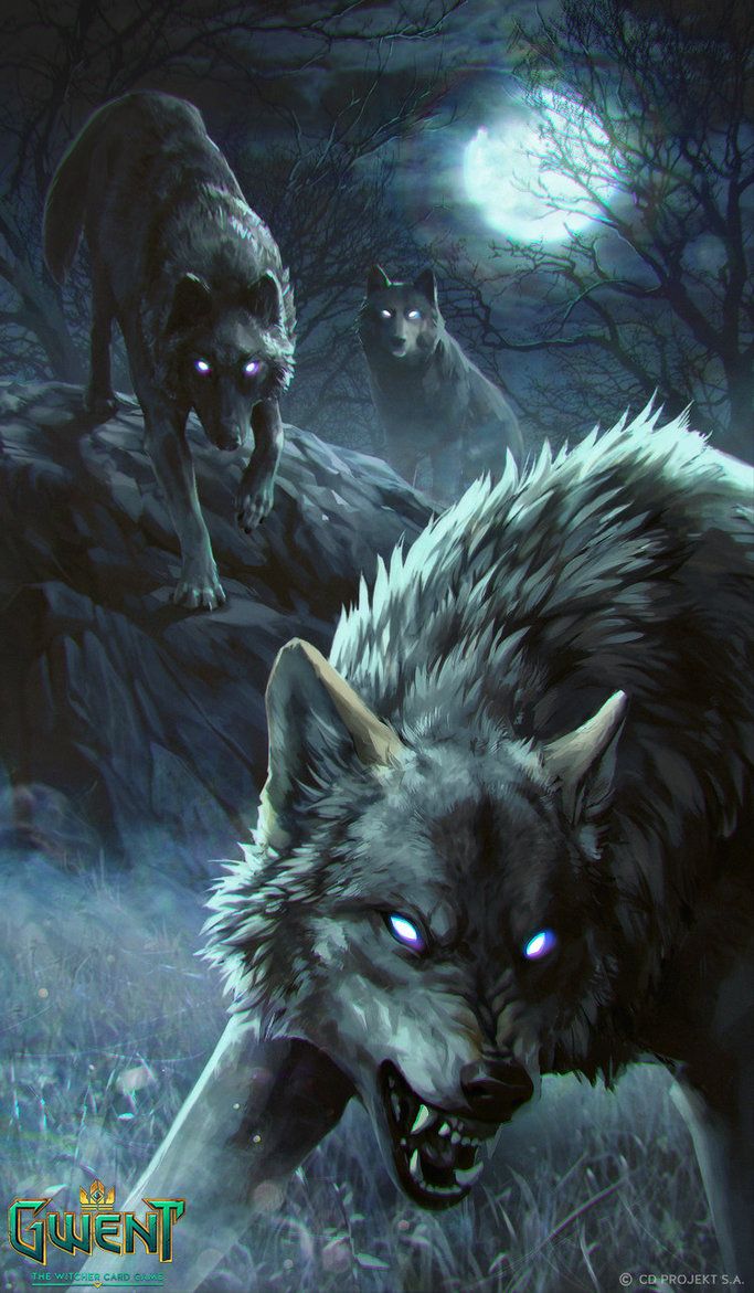 Angry Wolves Iphone Wallpaper 683x1171