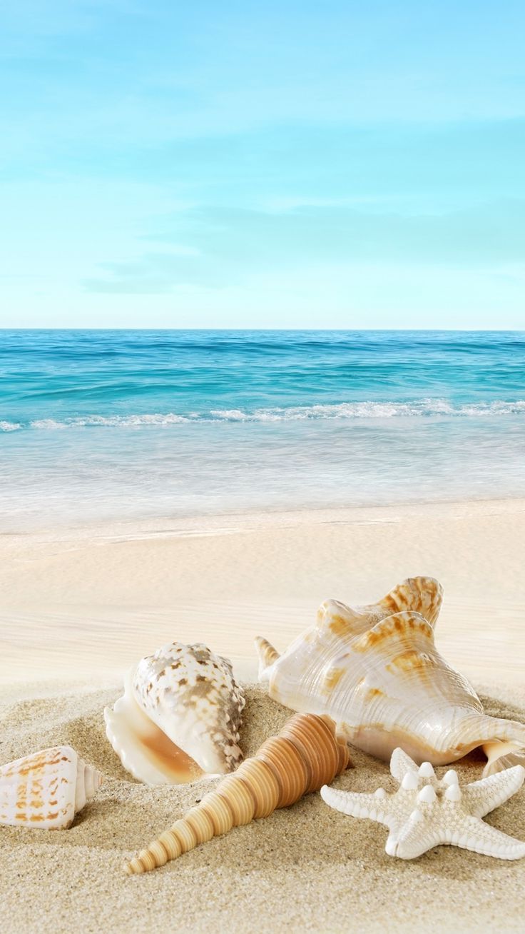 Beach Mobile Wallpaper HD 736x1308