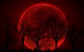 Bloody Red Moon Wallpaper - Live Wallpaper HD