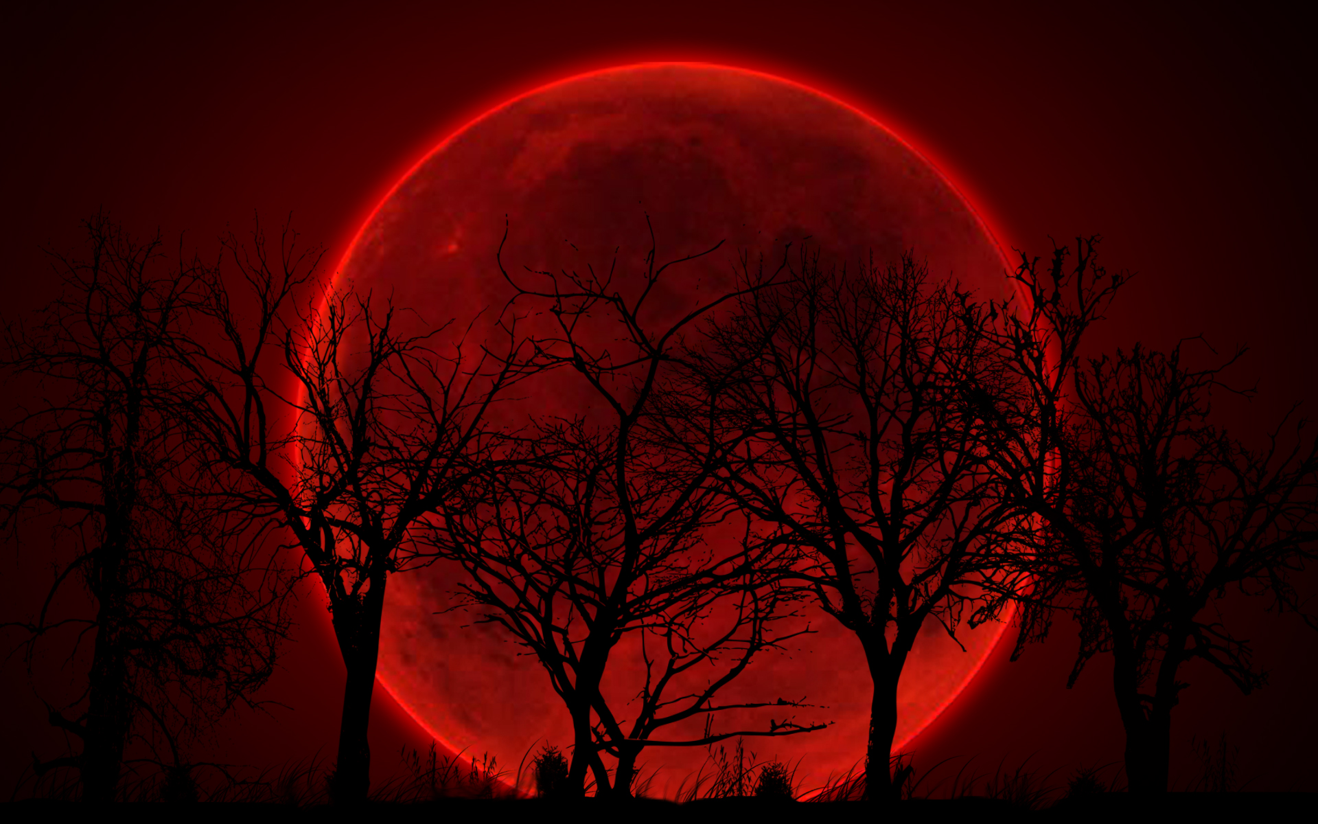 Bloody Red Moon Wallpaper 1920x1200