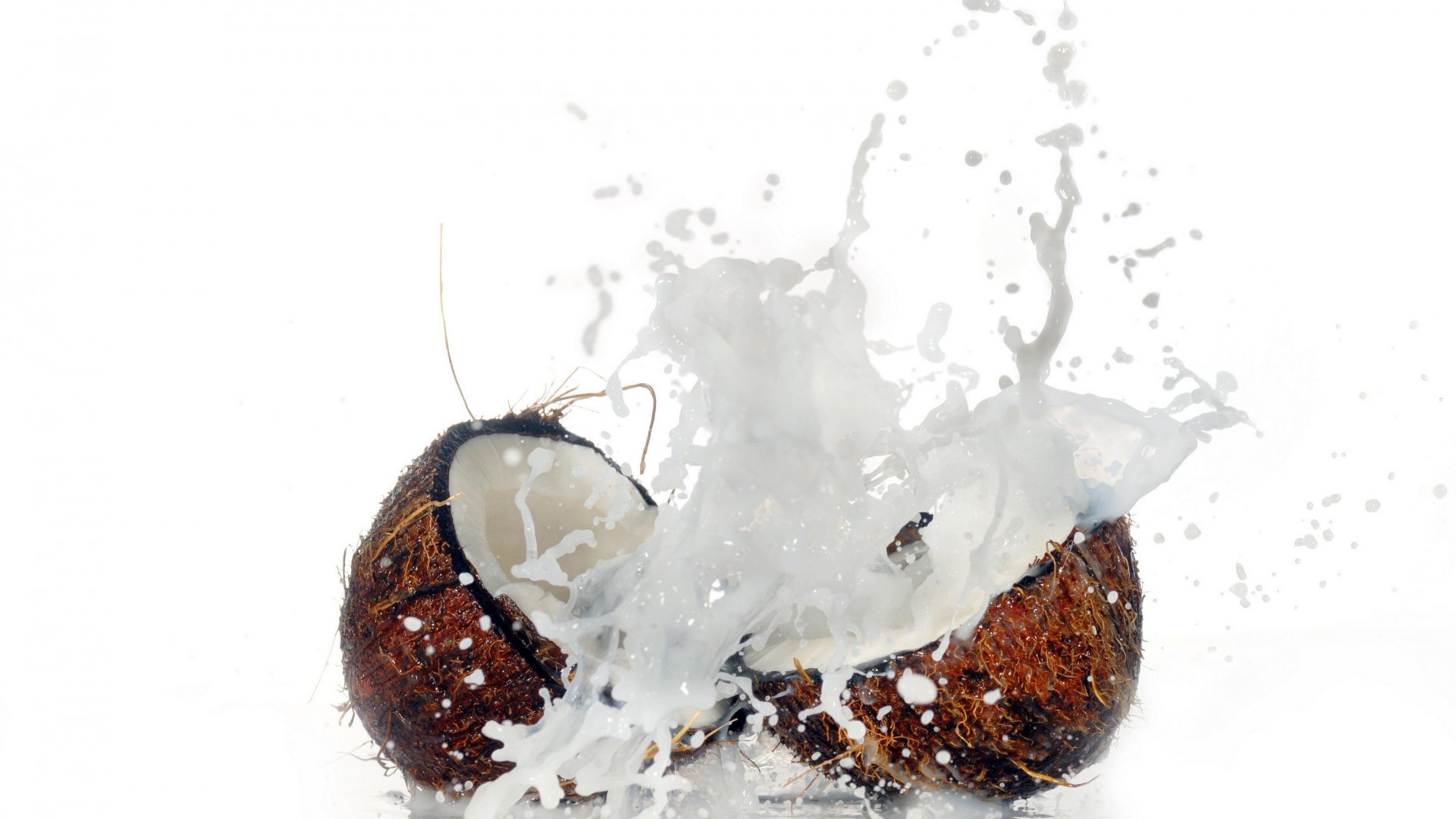 Coconut Splash HD Wallpaper