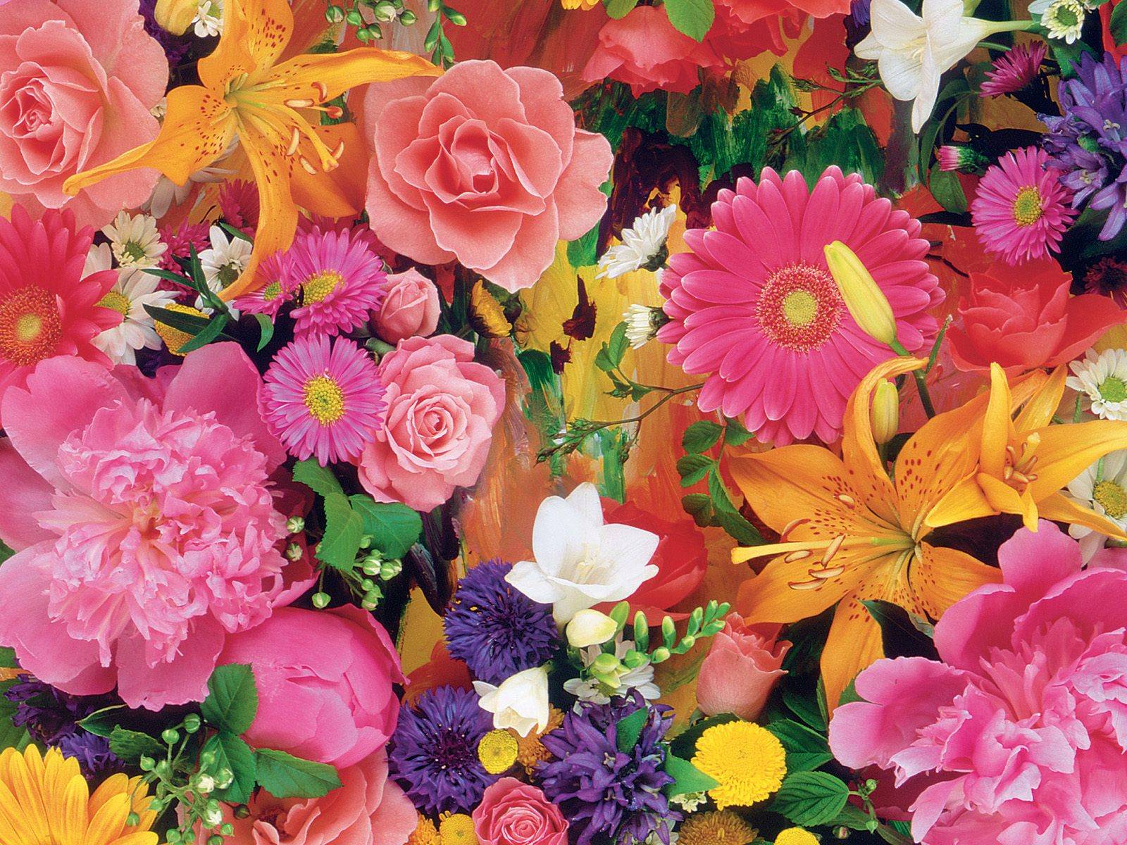 Colourfull Flowers 1600x1200