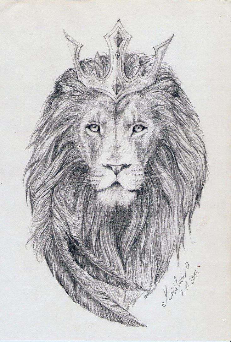 Crown Lion Sketch Art Wallpaper 734x1089
