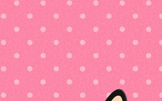 Cute Cat Pink Wallpaper iPhone