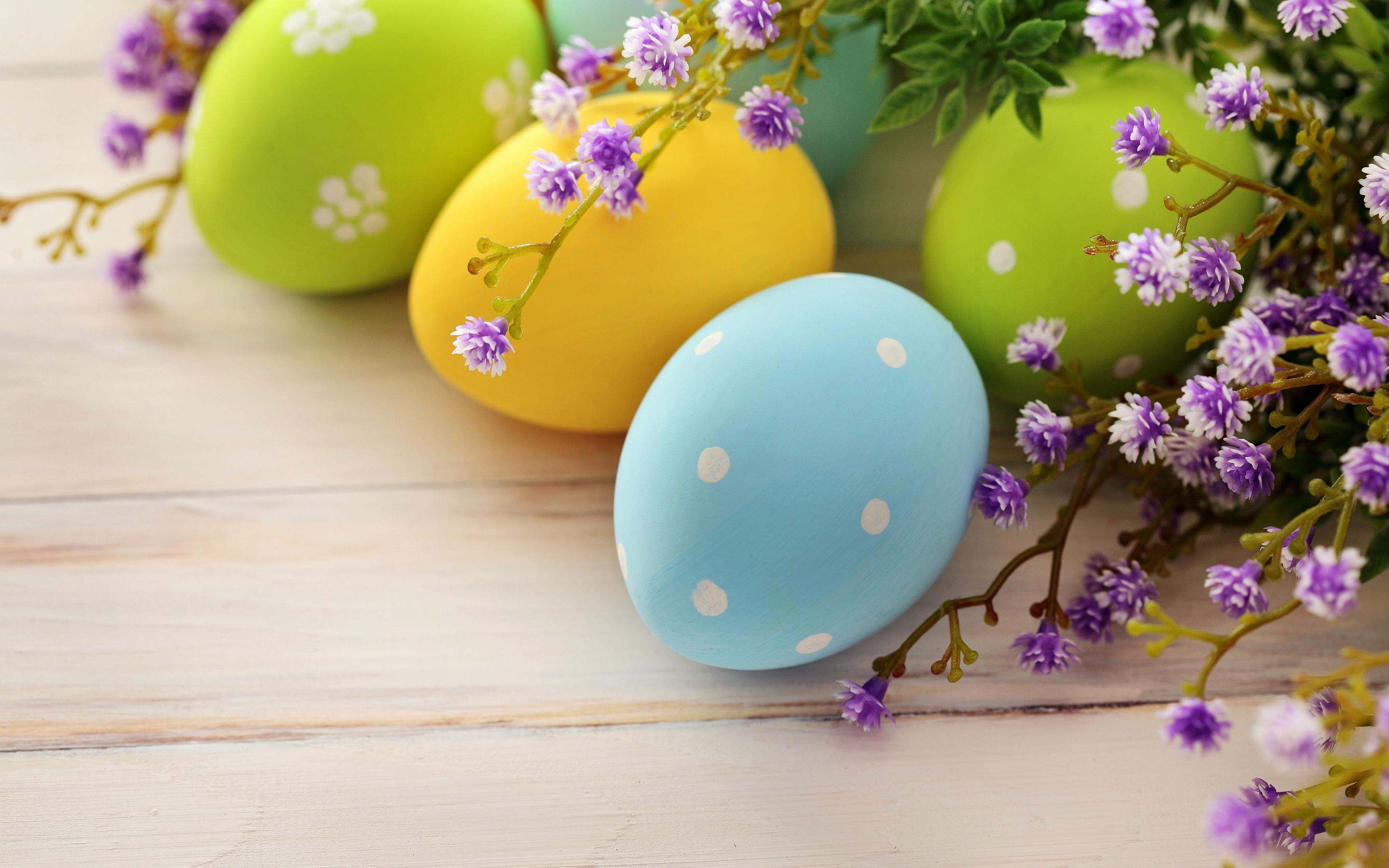 Cute Girly Egg HD Wallpaper 2880x1800