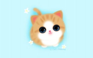 Cute Girly Iphone Wallpaper Melody Cat Baby Blue
