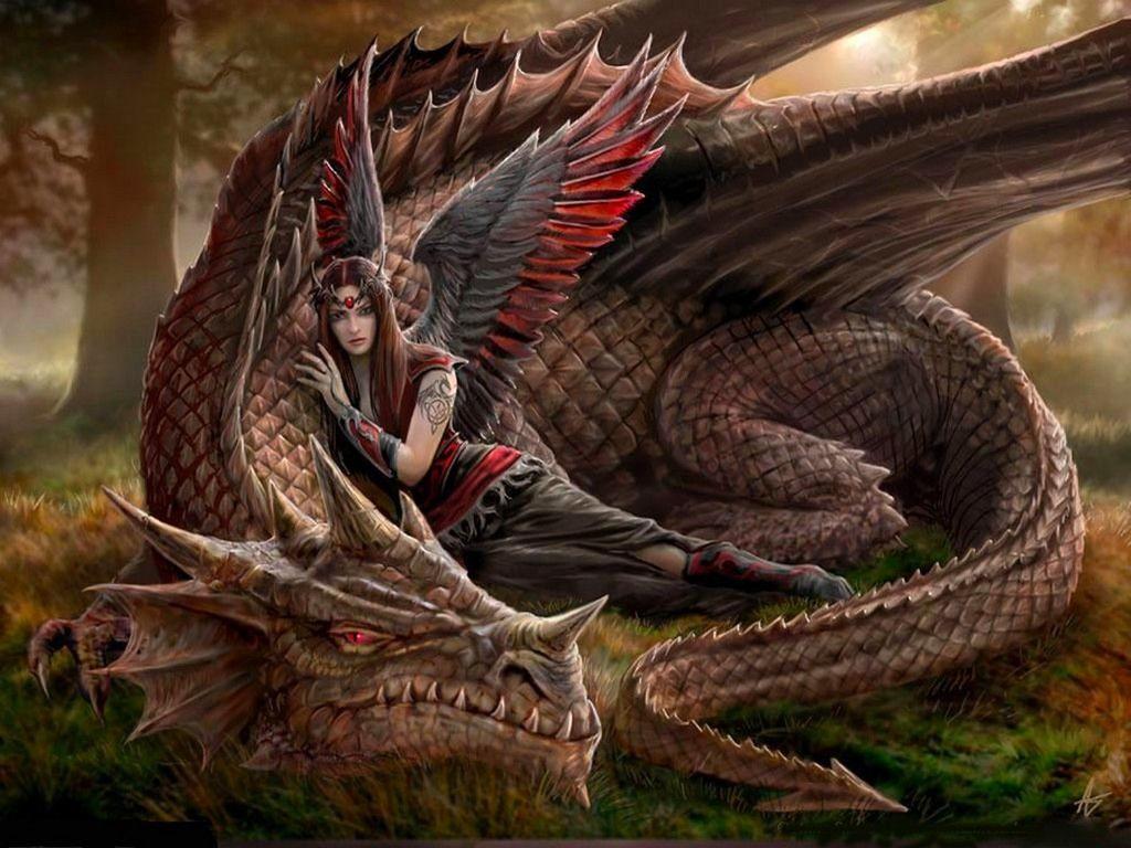 Fantasy Dragon and Fairy Wallpaper