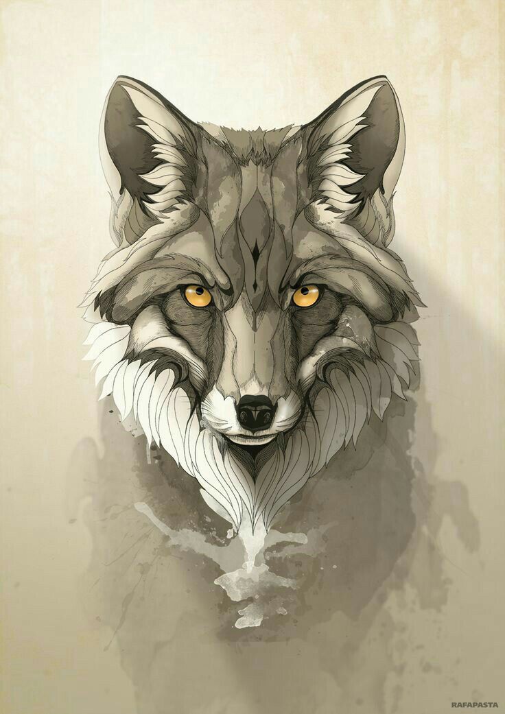 Fox Art Wallpaper 736x1041