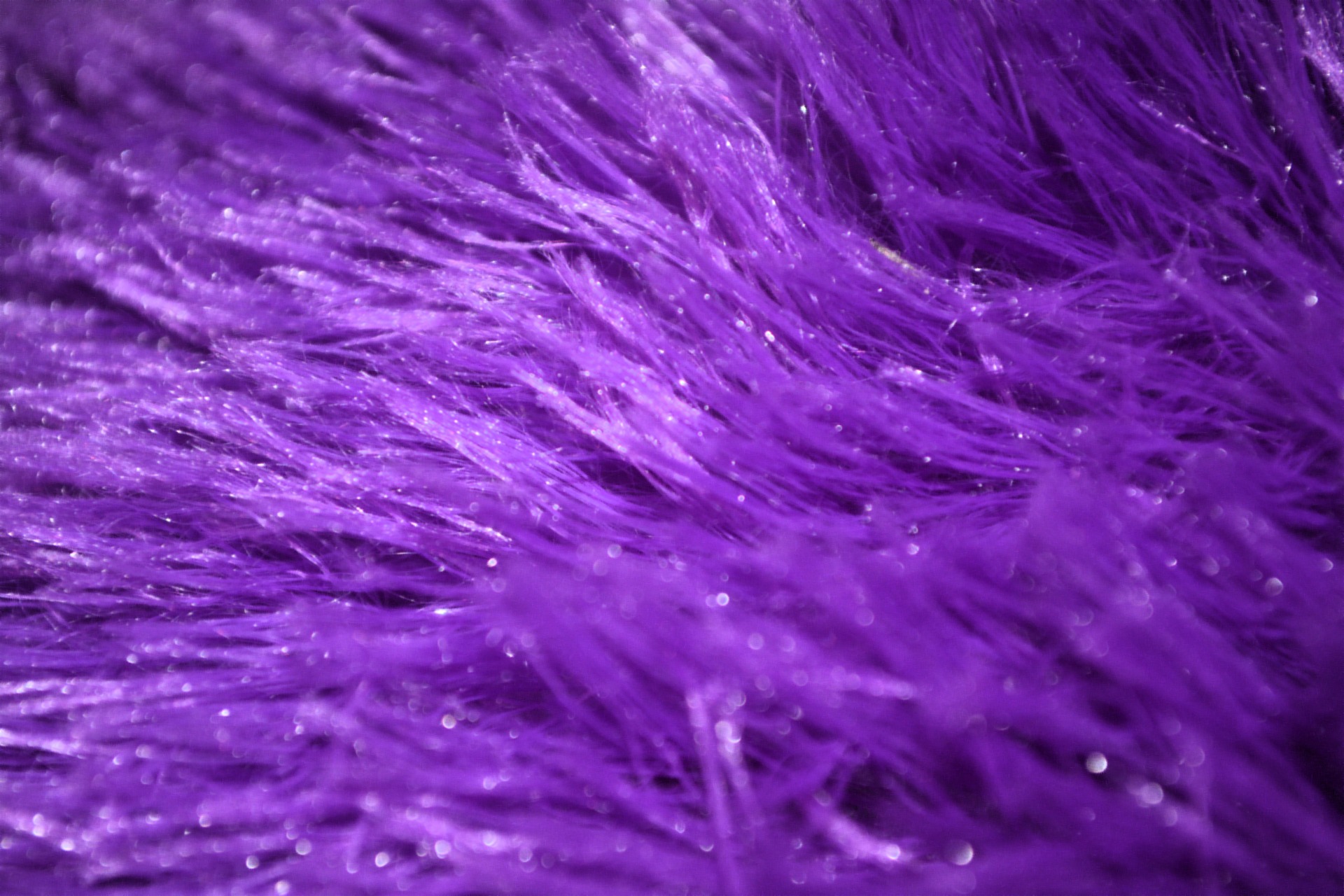 Fur Purple Wallpaper HD