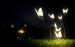 Glowing Butterfly Wallpaper HD